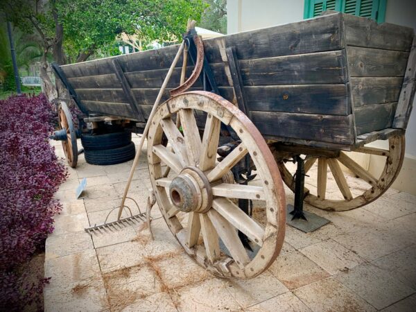 ⁦בית ימי בנימינה: אוכל, תרבות, אווירה⁩ – תמונה ⁦2⁩